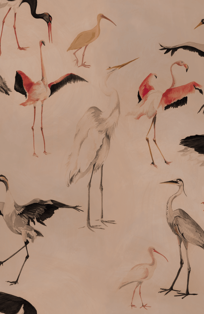 media image for Bird Dance Wallpaper in Tail Feather 219