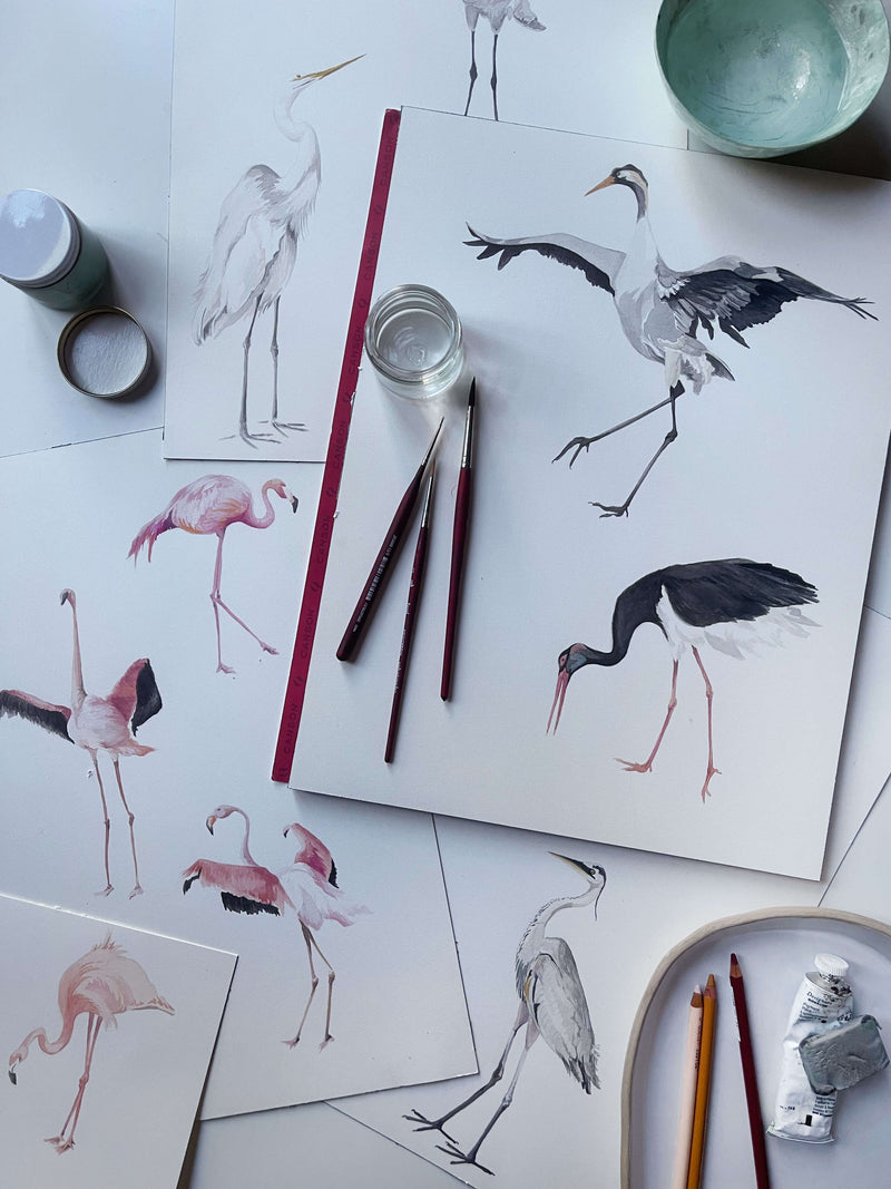 media image for Bird Dance Wallpaper in Tail Feather 290