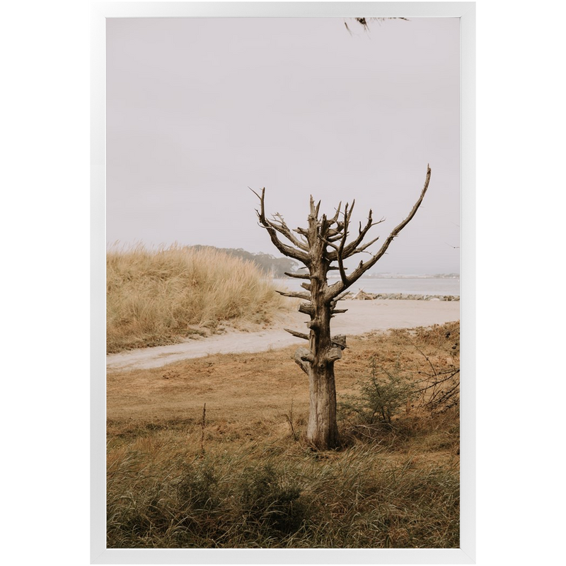 media image for lone tree framed print 6 280