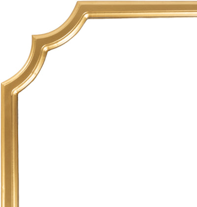 product image for Cecilia CCI-001 Mirror in Gold by Surya 65