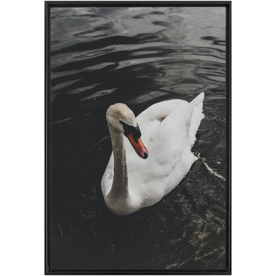 product image for swan framed canvas 21 85