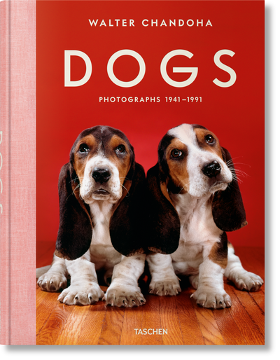 product image for walter chandoha dogs photographs 1941 1991 1 86