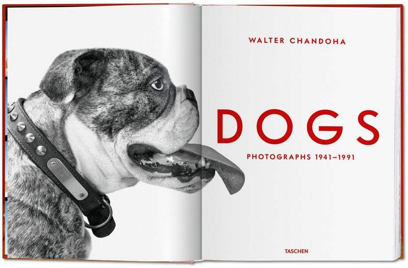 media image for walter chandoha dogs photographs 1941 1991 2 293