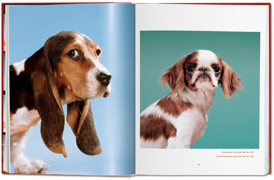product image for walter chandoha dogs photographs 1941 1991 4 6