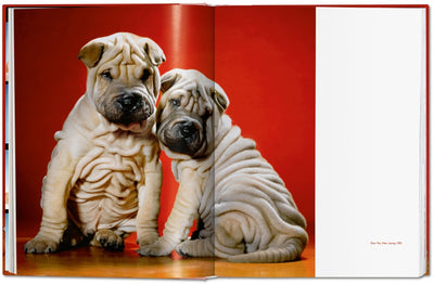 product image for walter chandoha dogs photographs 1941 1991 7 28