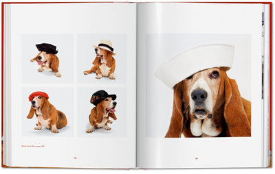 product image for walter chandoha dogs photographs 1941 1991 9 8