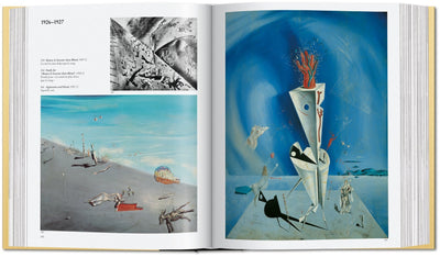 product image for dali the paintings 2 28