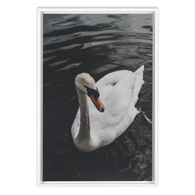 product image for swan framed canvas 1 28