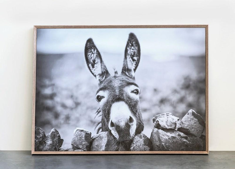 media image for donkey wood framed canvas wall decor 2 252