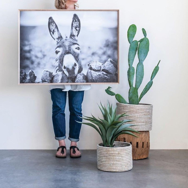 media image for donkey wood framed canvas wall decor 3 212