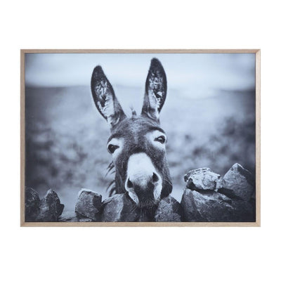 product image of donkey wood framed canvas wall decor 1 565