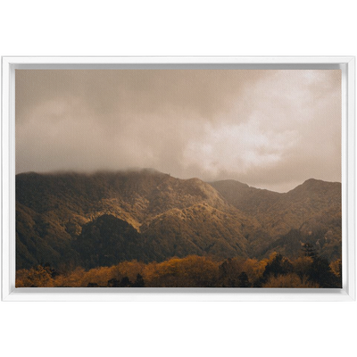 product image for furnas canvas 10 6
