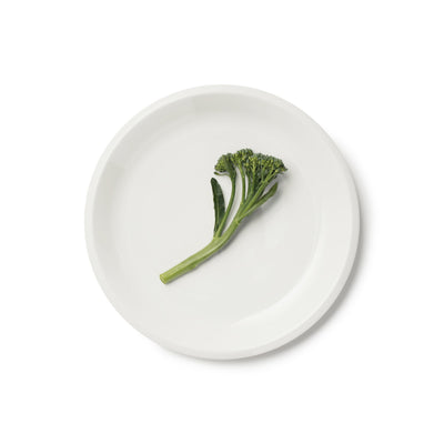 product image for Raami Plate in Various Sizes design by Jasper Morrison for Iittala 82