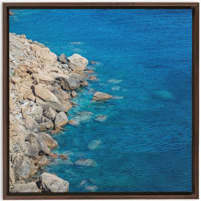 product image for menagerie framed canvas 11 67