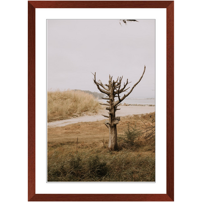 product image for lone tree framed print 3 18