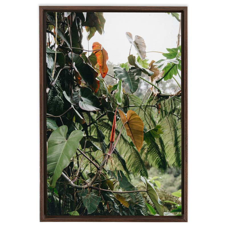 media image for jungle framed canvas 11 267