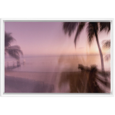 product image for spectra framed canvas 9 2