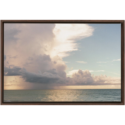 product image for floral dream framed traditional stretched canvas 9 10