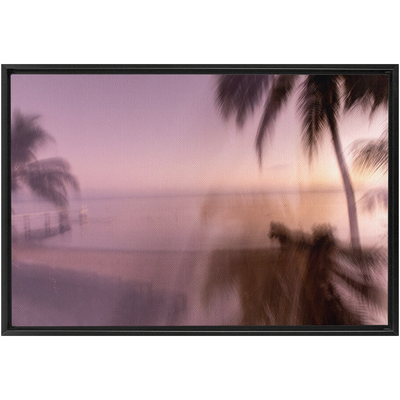 product image for spectra framed canvas 14 6