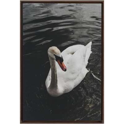 product image for swan framed canvas 20 37