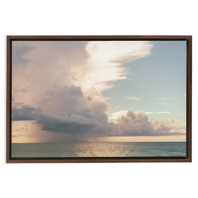 product image for floral dream framed traditional stretched canvas 3 36
