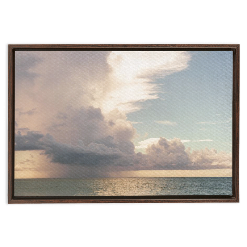 media image for floral dream framed traditional stretched canvas 3 272