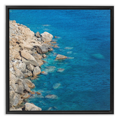 product image for menagerie framed canvas 2 24