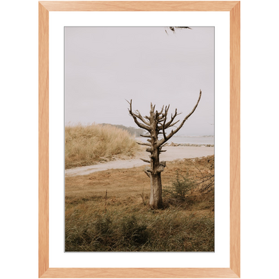 product image for lone tree framed print 10 52