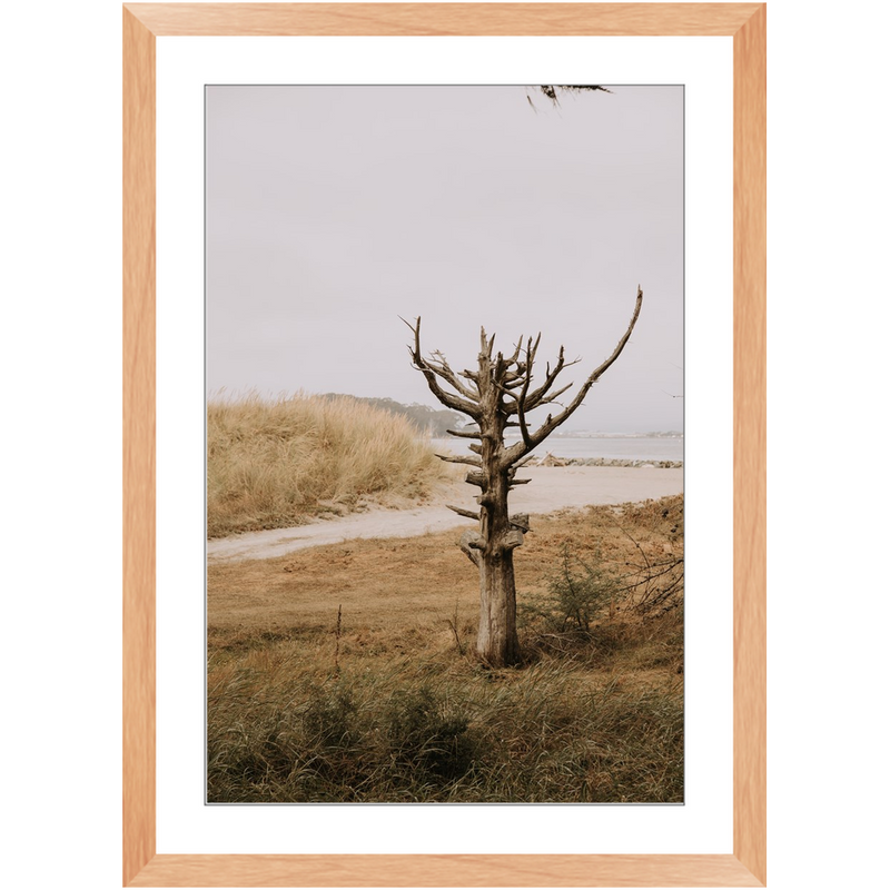media image for lone tree framed print 10 231