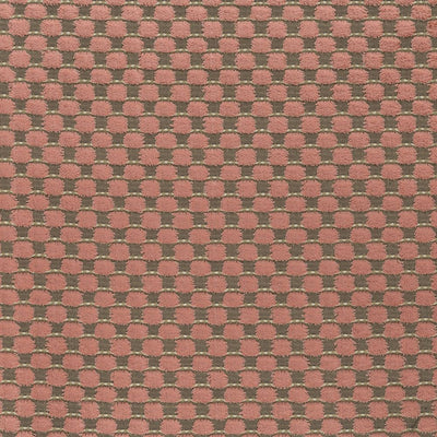product image for Viviana Alisa Blush Fabric 16