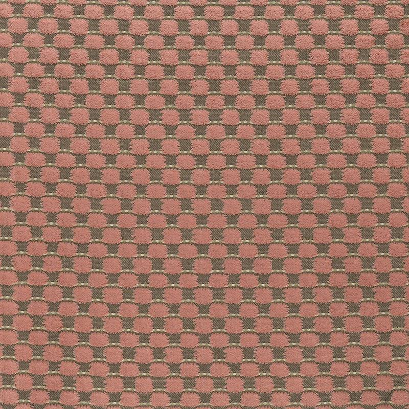 media image for Viviana Alisa Blush Fabric 296