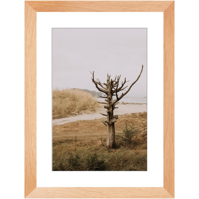 product image of lone tree framed print 1 541