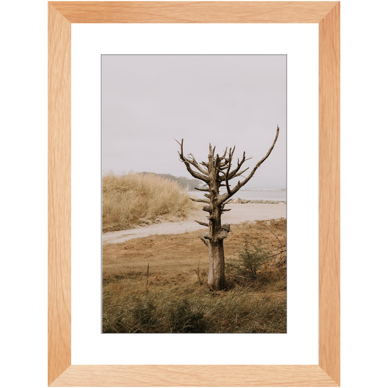 media image for lone tree framed print 1 291