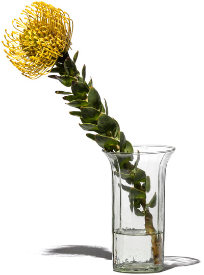 product image for Recycled Glass Useful Flower Vase By Puebco 110752 1 98