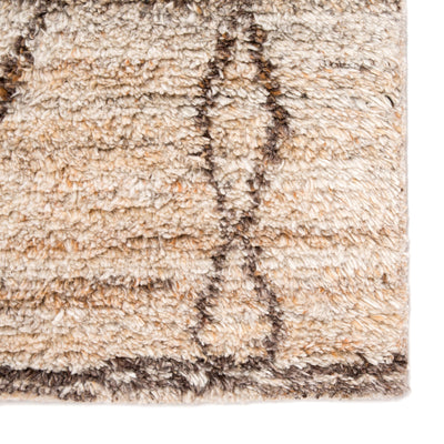 product image for kas02 murano hand knotted trellis tan brown area rug design by jaipur 4 79