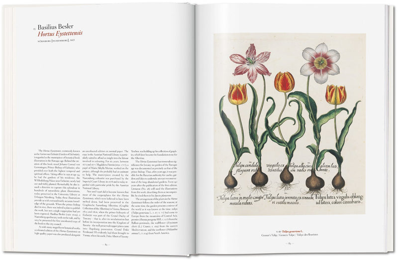 media image for a garden eden masterpieces of botanical illustration 4 25