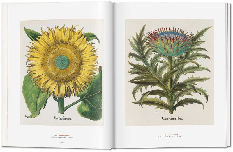 media image for a garden eden masterpieces of botanical illustration 3 259