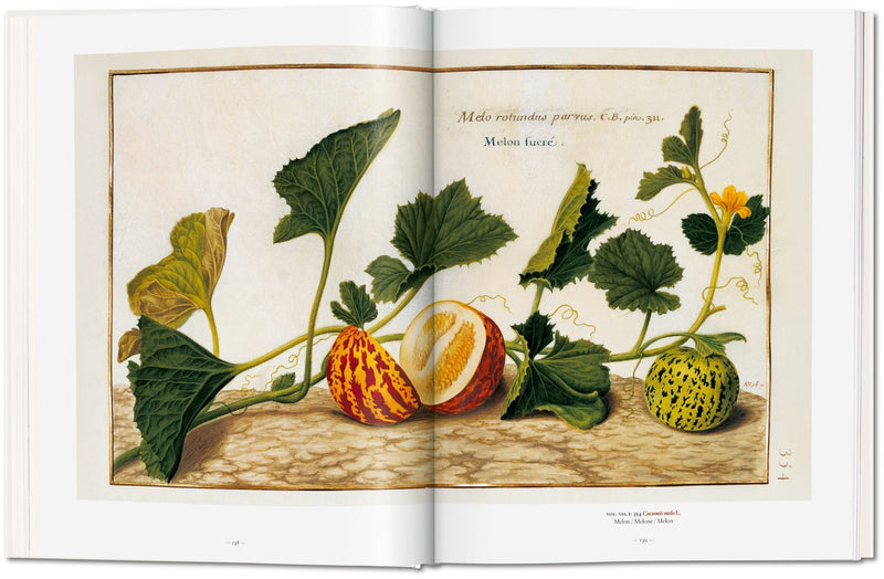 media image for a garden eden masterpieces of botanical illustration 2 25