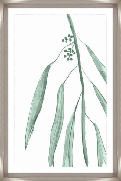 product image for eucalyptus iv by bd art gallery lba 52bu0474 gf 1 16