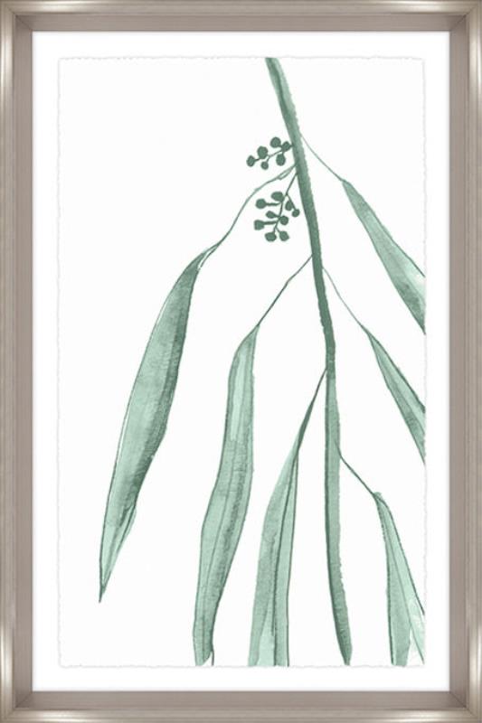 media image for eucalyptus iv by bd art gallery lba 52bu0474 gf 1 292