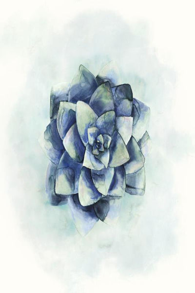 product image for succulent iv by bd art gallery lba 52bu0511 bu fr3008 7 36