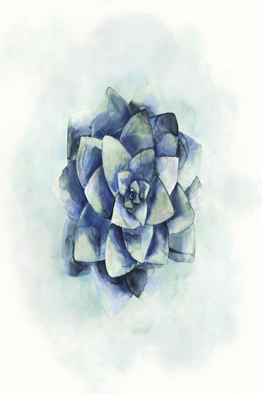 media image for succulent iv by bd art gallery lba 52bu0511 bu fr3008 7 274