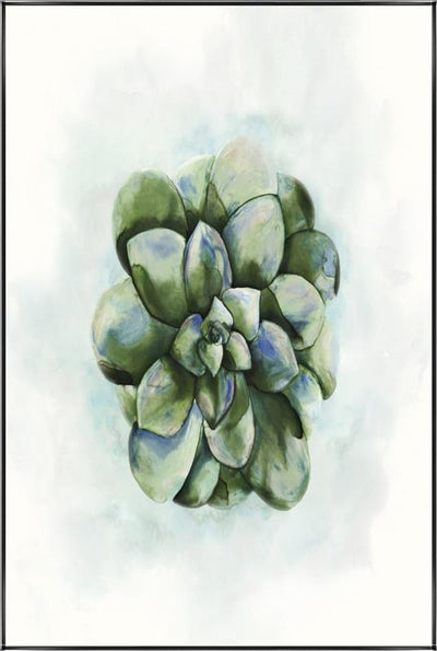 product image for succulent i by bd art gallery lba 52bu0508 bu fr3008 1 66
