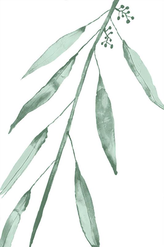 media image for eucalyptus v by bd art gallery lba 52bu0475 gf 4 233