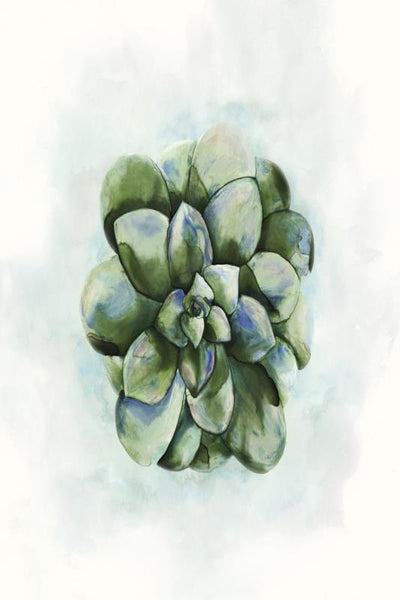 product image for succulent i by bd art gallery lba 52bu0508 bu fr3008 7 9