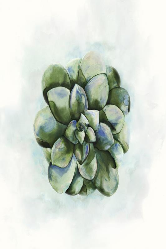 media image for succulent i by bd art gallery lba 52bu0508 bu fr3008 7 224