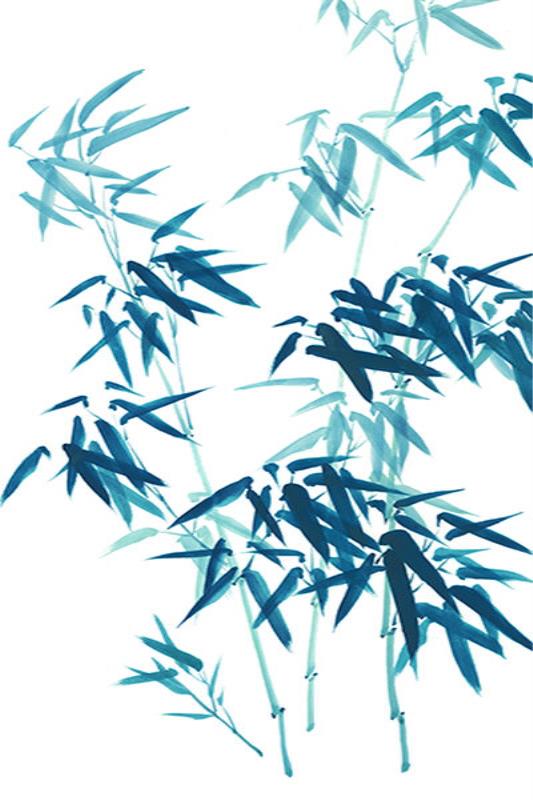 media image for turquoise bamboo iv by shopbarclaybutera 6 286
