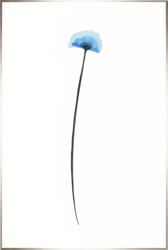 media image for blue poppies vi by bd art gallery lba 52bu0654 gf 2 256