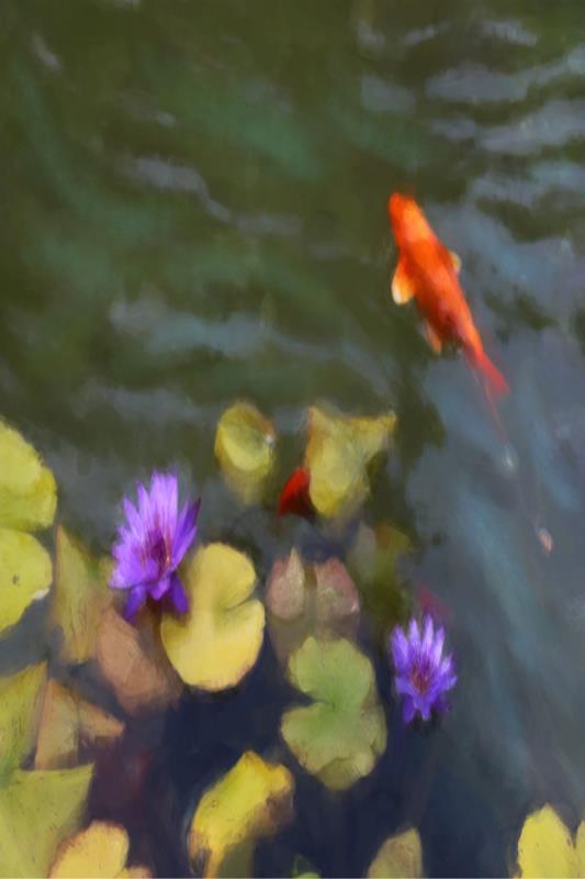 media image for lily koi i by shopbarclaybutera 3 292