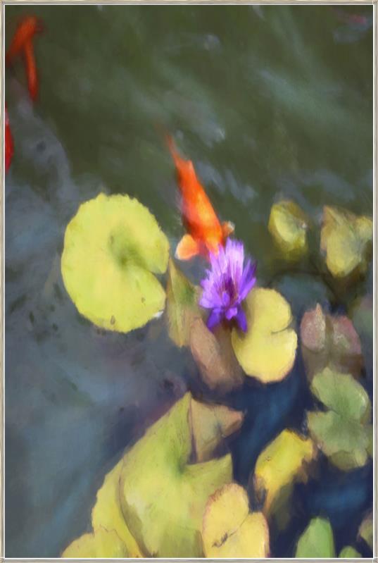 media image for lily koi iii by shopbarclaybutera 1 216
